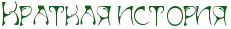 RkratkayPistoriy.png