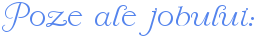 kbzzw3jycfsgkedkp7t8k5dipr7y.png