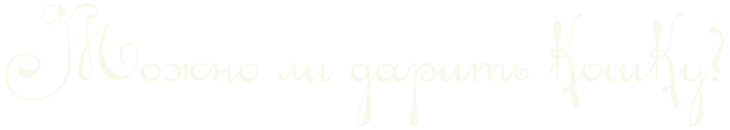 к чему дарят кошек. к чему дарят кошек фото. картинка к чему дарят кошек. смотреть фото к чему дарят кошек. смотреть картинку к чему дарят кошек.