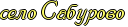 seloPRsaburovo.png