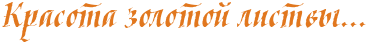 4nppdygosdeadwf64gbpbcby4n57bxsozxem7wcn4n9pbqjy4n77bqgto8eafwf14gf1hmtq.png